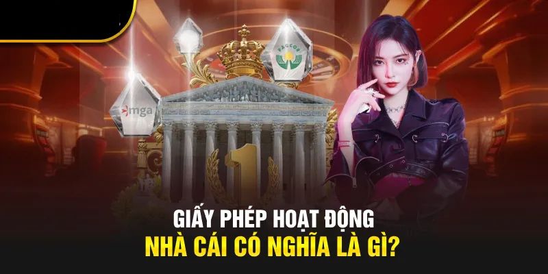 giấy phép hoạt động ko66